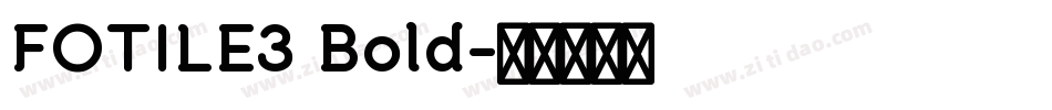 FOTILE3 Bold字体转换